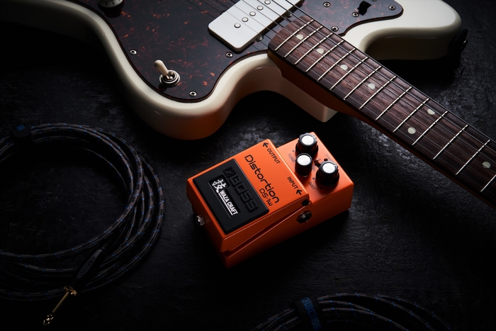 『DS-1W』イメージ
