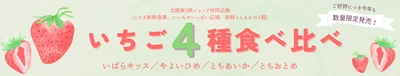 栃木・群馬・茨城のいちごを食べよう！ 産地直送通販サイト「ＪＡタウン」で「北関東３県魅力度向上キャンペーン」第５弾を開催！