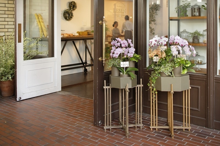 使用イメージ 5