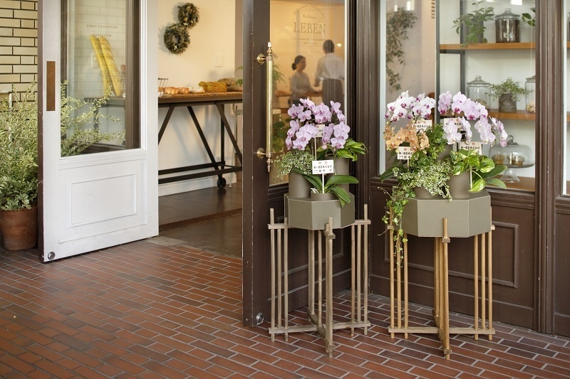 使用イメージ 5