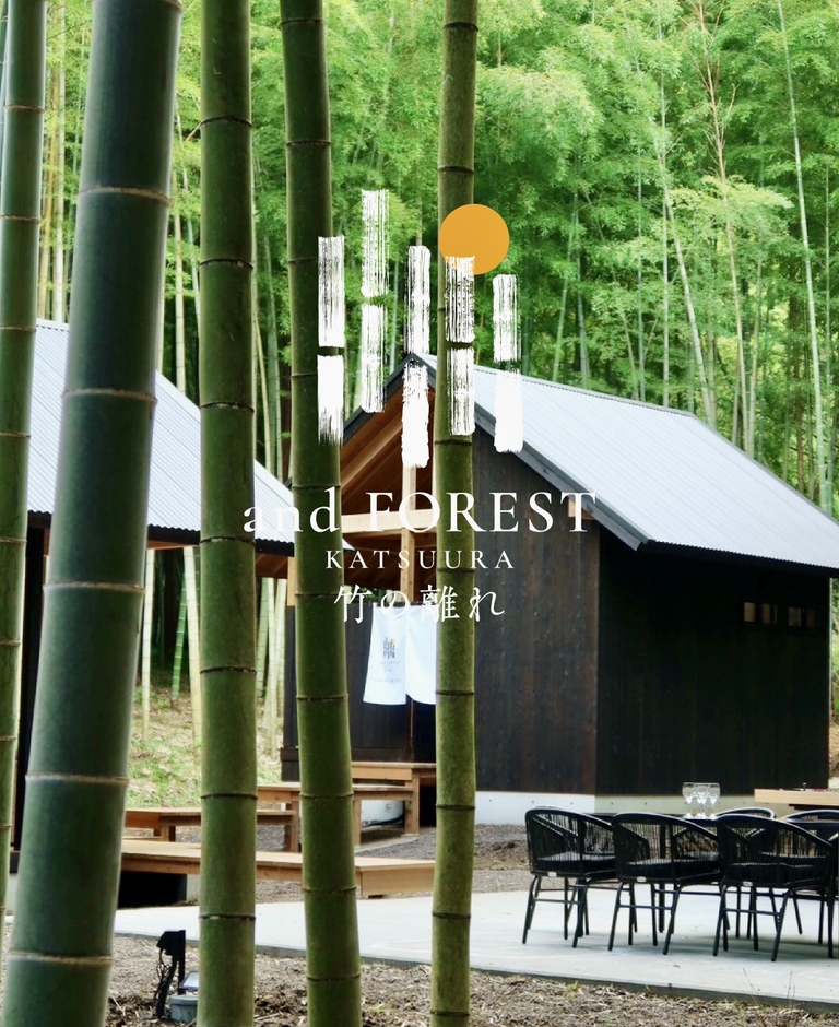 千葉県勝浦市に新たな隠れ家リゾートが誕生！竹林の絶景とサウナが