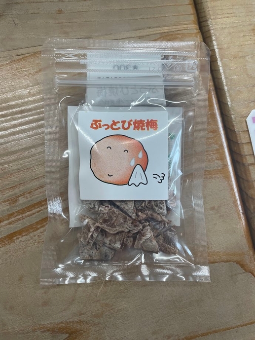 ぶっとび梅(楮山信子)