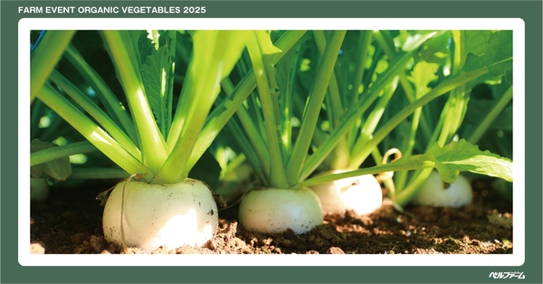 有機野菜3種収穫体験イベントイメージ画像③