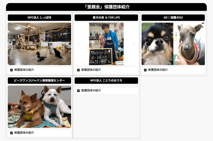 当日、出店を行う保護団体の一覧