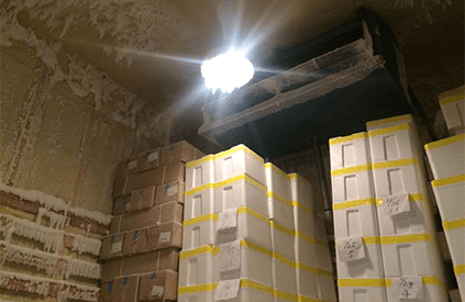 冷凍冷蔵保管サービス「フジレイ」