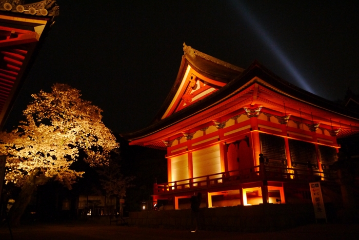 清水寺ライトアップ貸切ツアー(2)