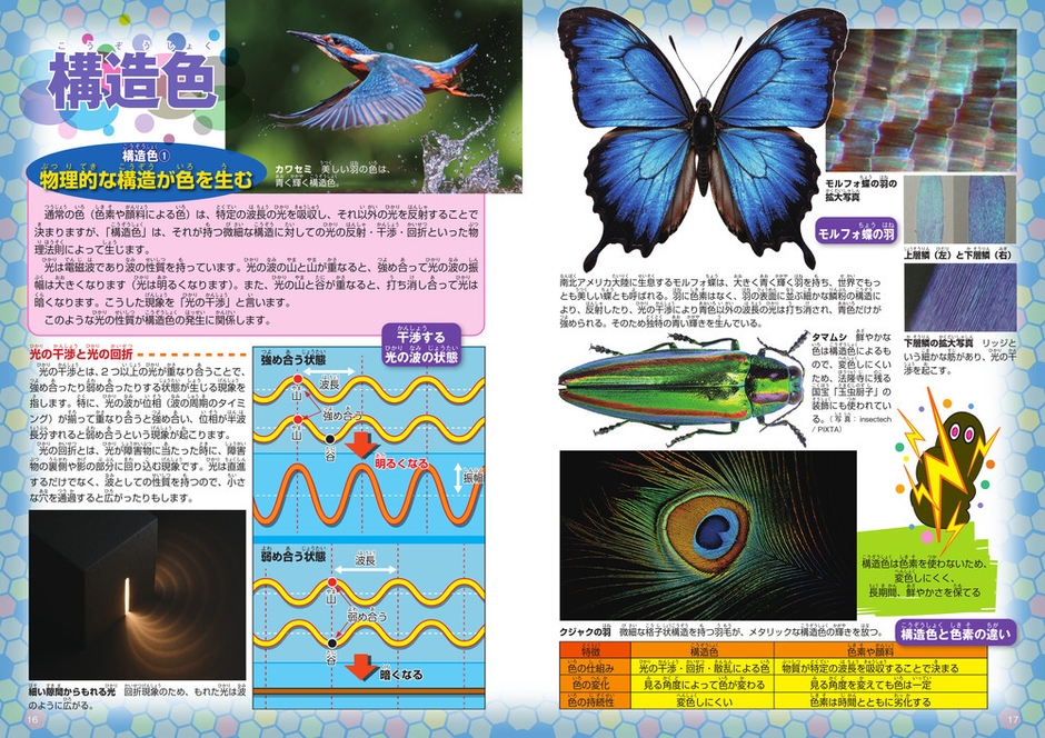 ずかん「色」(技術評論社)　構造色
