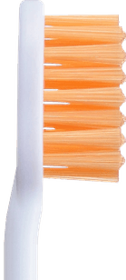 付替NONIO＋ホワイトニング側面