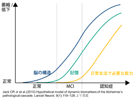 認知症進行段階