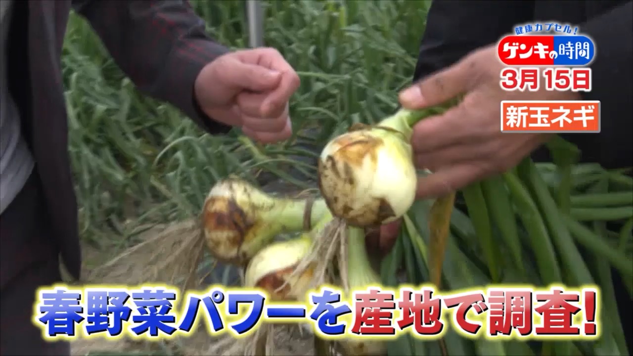 感染症予防に新玉ネギ！？がん予防に春キャベツ！？今が旬の春野菜健康パワーに迫る！産地直伝レシピもご紹介！