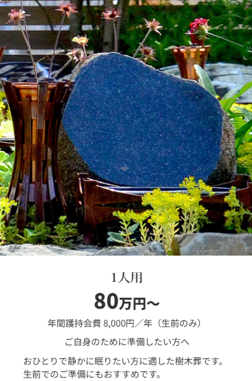 墓所タイプ別 ~1人用