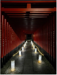 椙山女学園大学×三光稲荷神社×株式会社遊猿地コラボ企画　 第二弾愛知県犬山市、三光稲荷神社ライトアップイベントを 11月26日(土)より犬山三光稲荷神社にて期間限定開催！