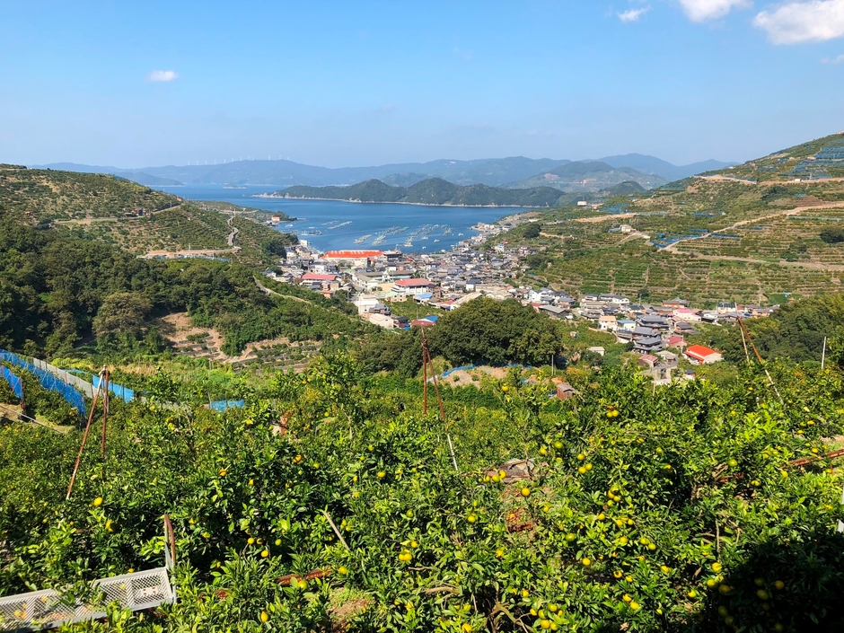 ゲストの農業研修生が研修を行っている川上地区の園地