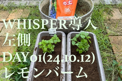比較評価DAY01