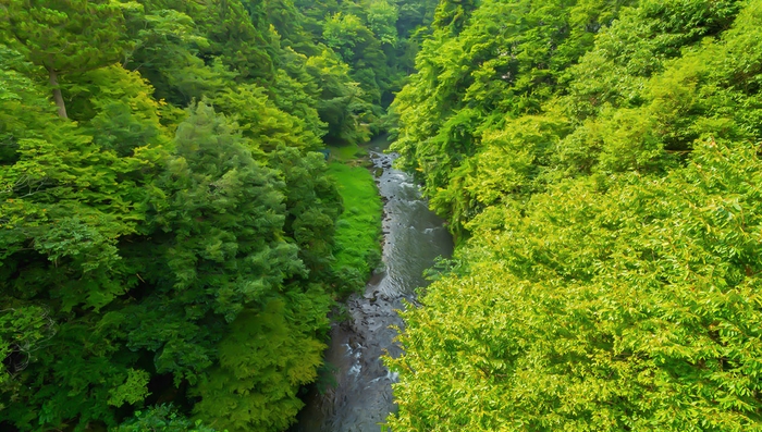 鶴仙渓