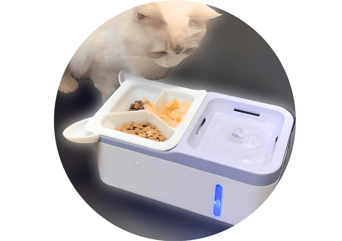 猫ちゃん&給水器