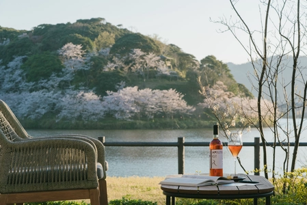 桜がまだ愉しめる、京都最大の湖の眺め。八重桜がこれから開花「風景とナチュラルワインをペアリングする大人のお花見」　京都・丹後「HOTEL&湖邸 艸花 -そうか-」