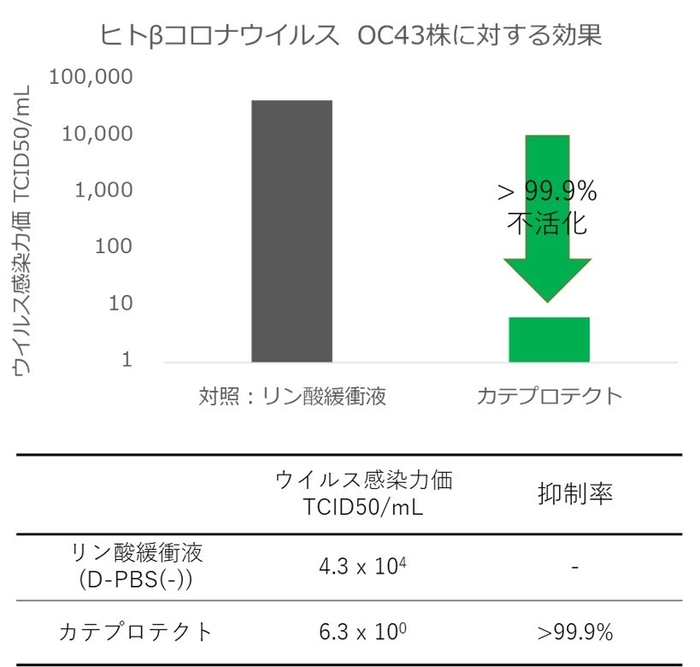 図2：ヒトβコロナウイルスOC43に対するカテプロテクトの効果