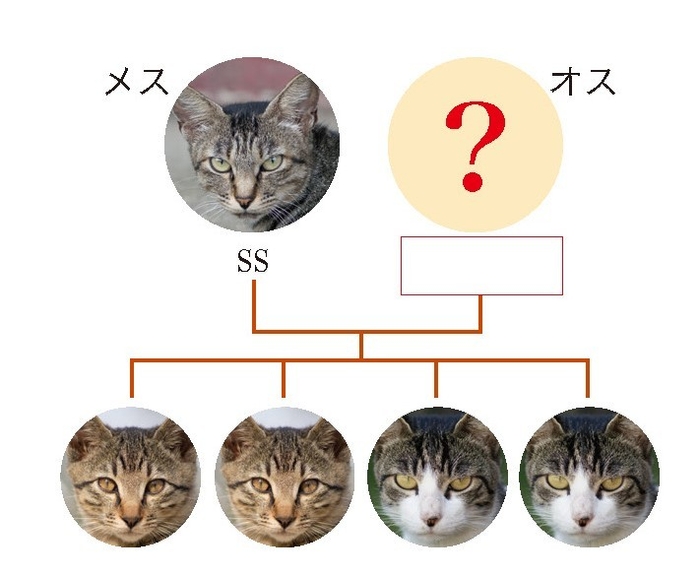 巻末には遺伝子当てクイズも