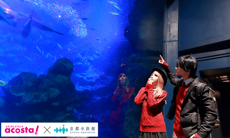 acosta!＠京都水族館5