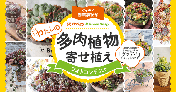 グッデイ×Greensnapコラボレーションイベント