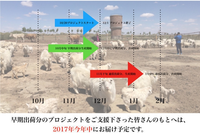 クラファン製品流通の概要(2)