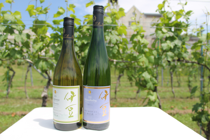 中伊豆ワイナリーで製造する日本ワイン