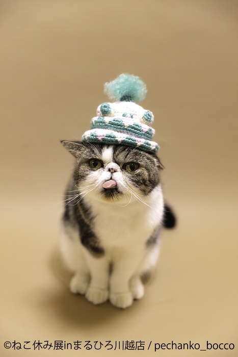 展示作品：pechanko_bocco