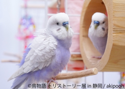 展示作品3