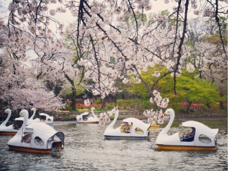 mayudama123撮影場所:井の頭恩賜公園