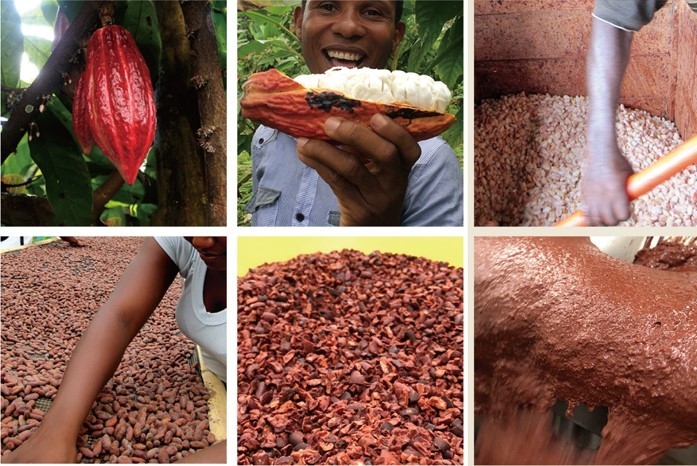 こだわりポイント2