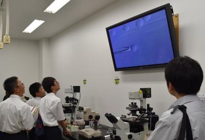 マイクロマニュピュレーターを使い、細胞操作を観察する様子(昨年度)