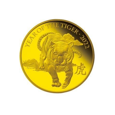 500/100ポンド金貨(共通)