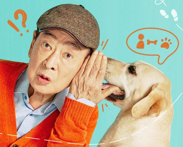 © IMTV Co.,Ltd. All Rights Reserved