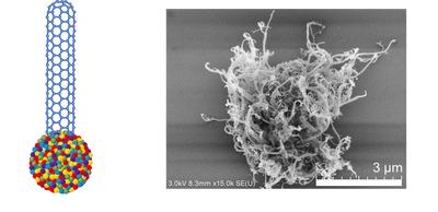 【名城大学】ハイエントロピー合金からのカーボンナノチューブ合成に成功―エレクトロニクス分野への応用に期待―