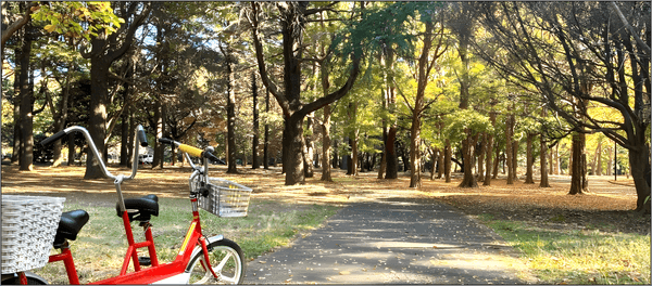 代々木公園サイクリングコース