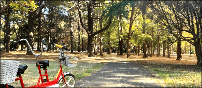 代々木公園サイクリングコース