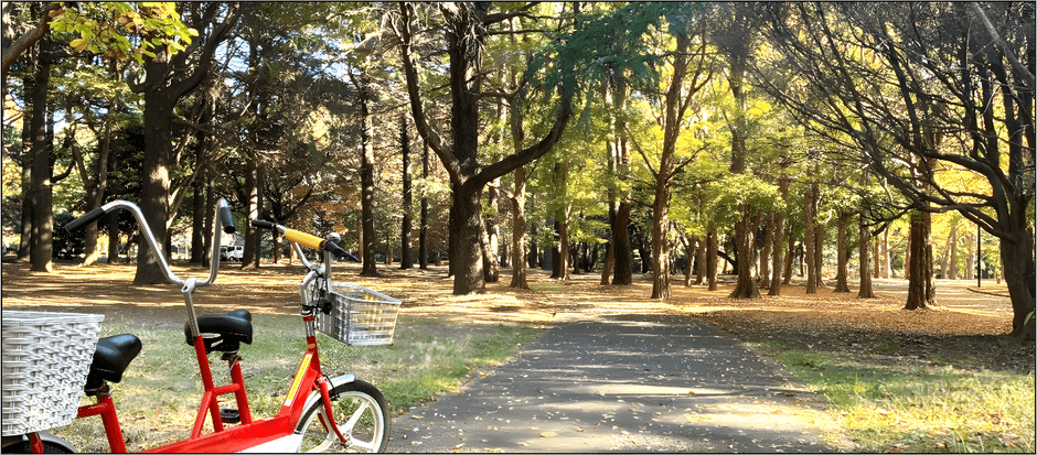代々木公園サイクリングコース