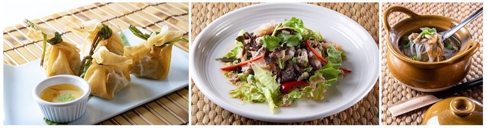 トゥントーン/サラダイメージ/トムヤムガイ