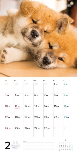 むくむくもふもふ 秋田犬 カレンダー 2019(2月)