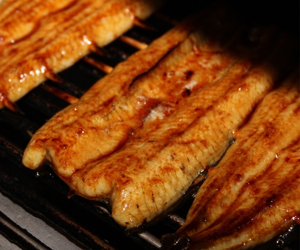 静岡県産うなぎ-焼き