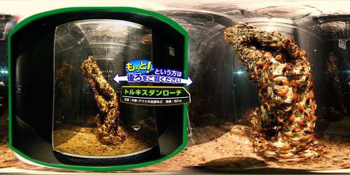 360Channel イメージ3