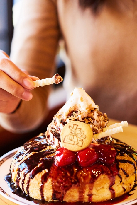 ショコラノワール&小枝(5)