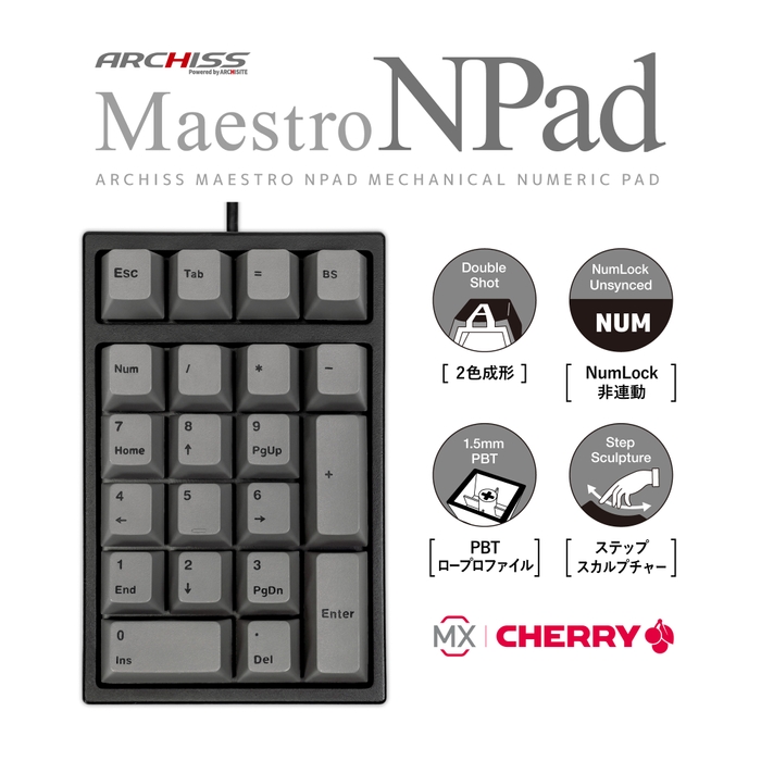 Maestro NPad Main