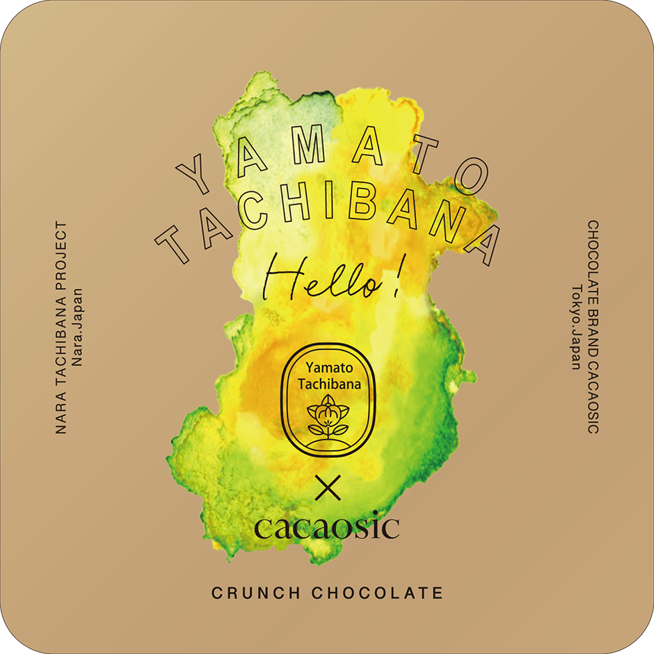 大和橘ロッシェ　デザイン