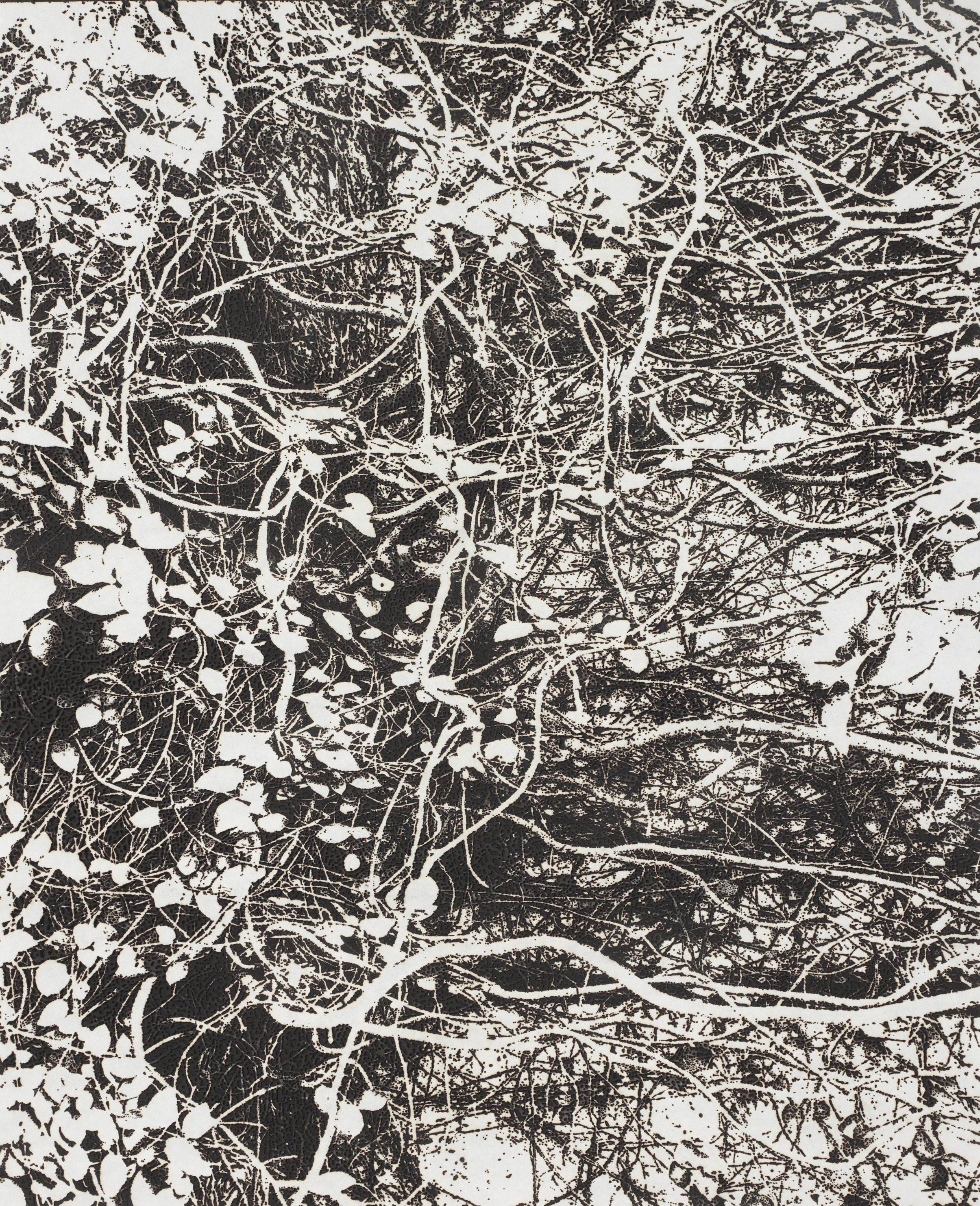 線香で画を描くアーティスト市川孝典、個展「FLEETING DAYS」 の開催が