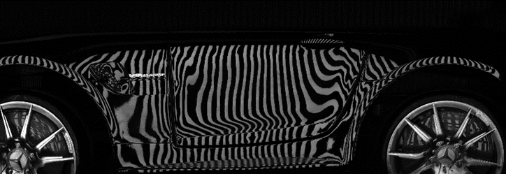 ゼブラ模様の画像