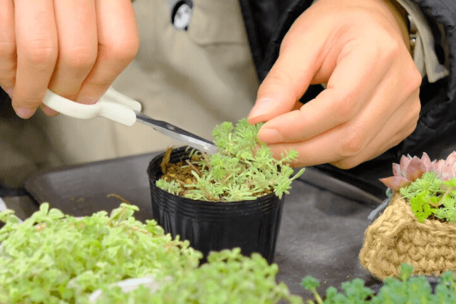 過去開催時の様子3