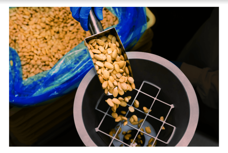 アーモンドイメージ1