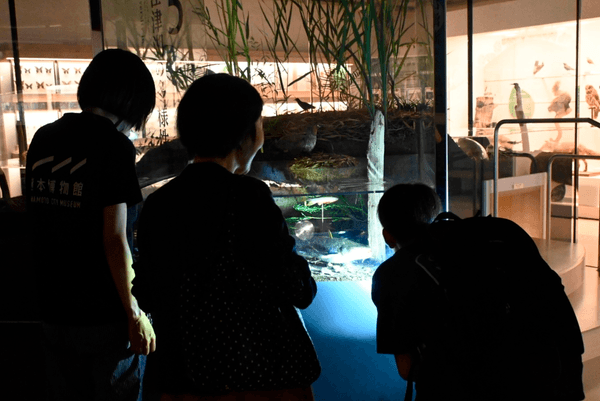 懐中電灯を照らしながら館内を見学